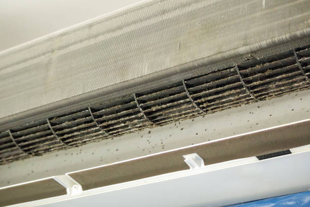 Best Air Duct Cleaning Near Me in La Vergne, TN